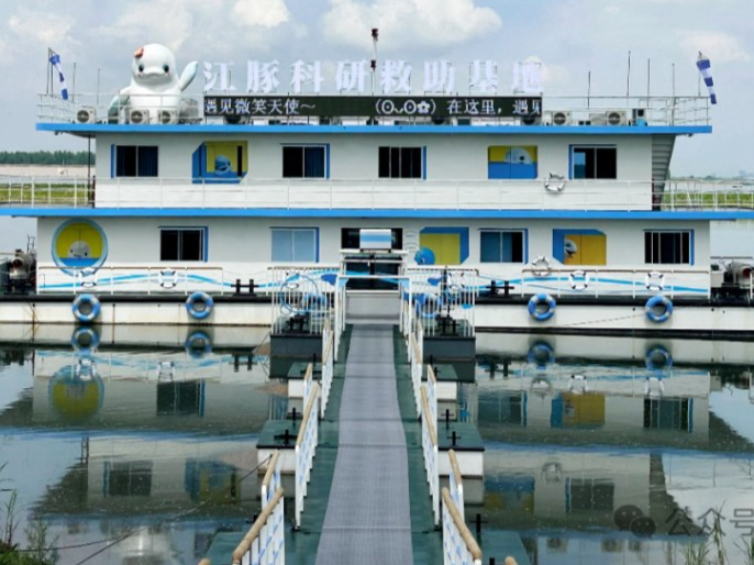 �����Čú������ΰl(f��)չ�����������о������أ����������� �L�����B(t��i)�����®���