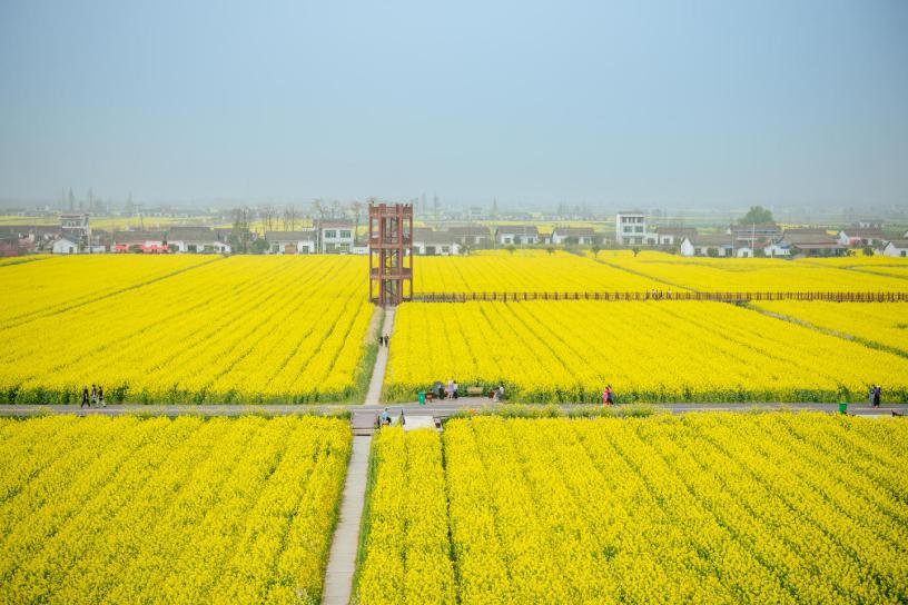 ���ı���ɫ����