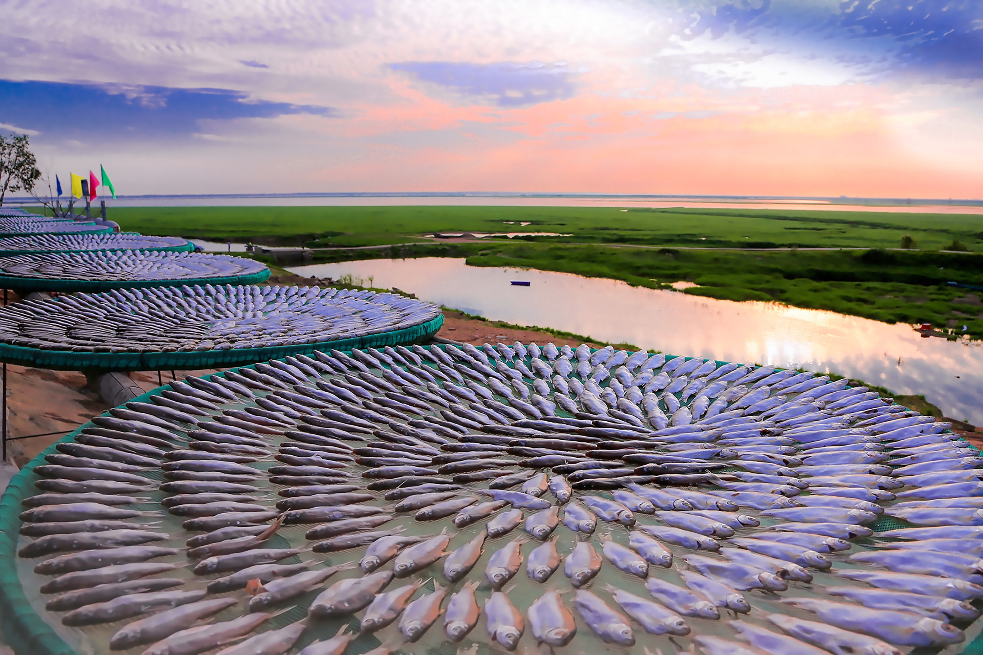 ���T�l�L(f��ng)���~