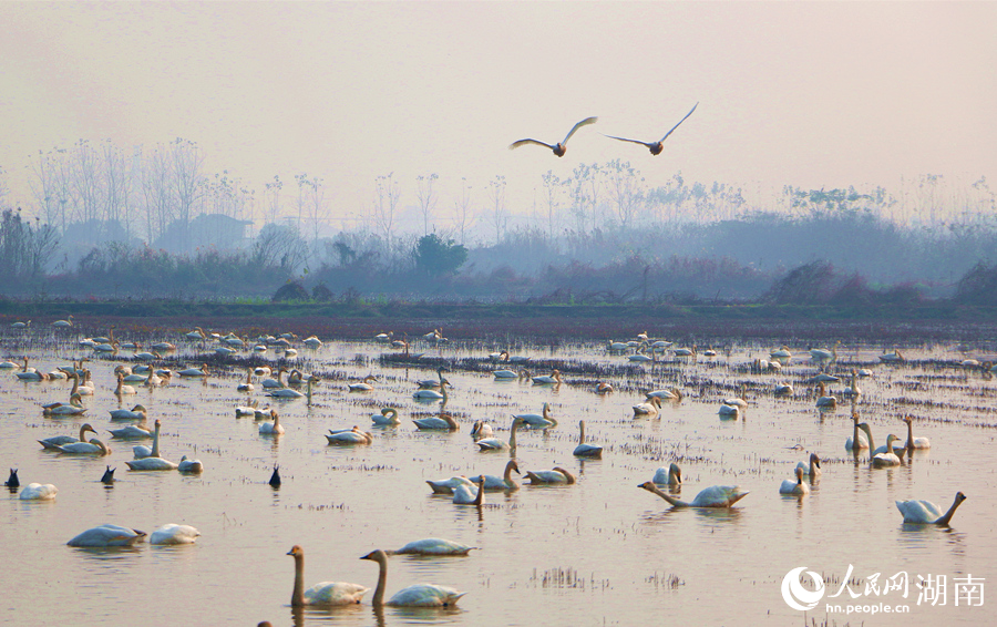 ��ꖖ|�ź����B�輯������W(w��ng)ӛ�� ���e�z